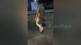 Social organisation rescued a injured cat in Shahdol, Madhya Pradesh