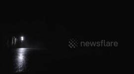 US: Frogs And Lizards Saved As Wildlife Tunnels Slash Road Deaths In Vermont