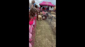 This is a video of the Piglet races at the Boonah Country Show