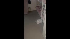 Toddler’s unusual sleep spots reach new heights—Literally!