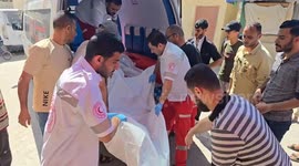 At least 29 Palestinians killed, dozens injured by Israeli army fire in Gaza