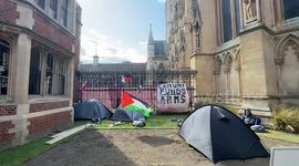 UK: Cambridge students protest under 'Newton Tree', urge university to cut ties with Israeli firms