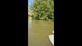 Family Rescues Two Deer on Kayaks