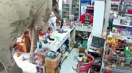 Elephant wanders out of the forest into grocery shop in Thailand