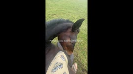 When you just want to stay in bed all day but your human won’t leave you alone