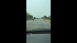 Geese do whatever they want like stopping traffic on a busy road