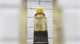 Residents lives being ruined by 