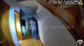 US: Bobcat Breaks Into Home Sees Lasers Leaves Without A Care In The World