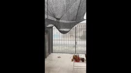 Never-Before-Seen Hailstorm Pummels Chivilcoy