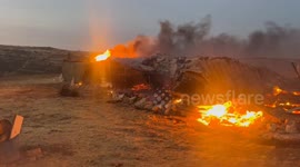 ASettlerss destroy olive trees