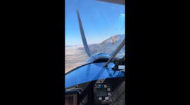 Pilot shocked as they spot stubborn crickets clinging to plane wing mid-flight