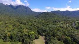 Brazil: Brazilian ecological park races to save endangered plant species