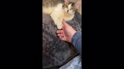 temp