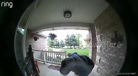 Patriotic Delivery Driver Fixes Tangled Flag