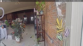 US: Deer Crashes Into Hair Salon In Keokuk As Police Rush To The Scene