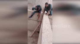 Spain: Swift Rescue Saves Fox Trapped In Railway Construction Site In Níjar Spain