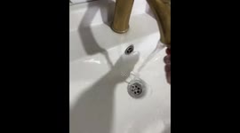 Creative insect catch using a wet napkin in Shymkent, Kazakhstan