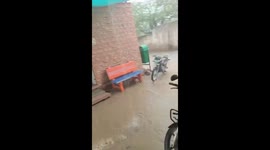 The village of Paladi Jodha in the Khivsar region of Nagaur witnessed a strong spell of rainfall