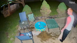 Frenchie Refuses To Dry Off