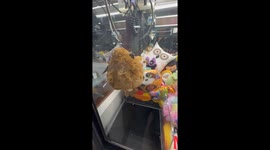 Claw Machine Game Doesn't Let Go