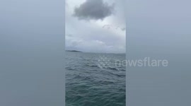 American tourist, 28, missing after falling overboard from yacht in Phuket