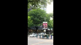Dog rides high on plywood carried by men in Cebu City, Philippines