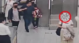 Chinese border guards catch woman with 30 endangered TURTLES stuffed inside her pants