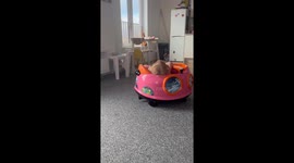 Daughter combines entertainment and sleeping to a whole new level!