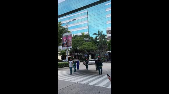 Dog calmly rides on plywood carried by workers in Cebu, Philippines