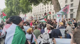 Emergency protest against Israel's entity attacked and kidnapped 12 activists. Defend the freedom Flotilla in London, UK