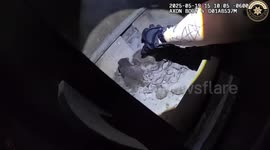 US: Raccoon Family Found Living Inside Wood-Burning Stove In Shocking Discovery