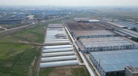 China: Locust farming big income earner in E China