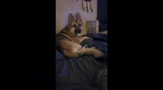 temp