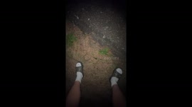 Can You Spot a Snake?