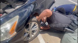 Kitten Rescued From McDonald's Car Ride by Dawson Police