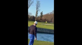 Eagle steals golfer’s ball off green and flies off with it