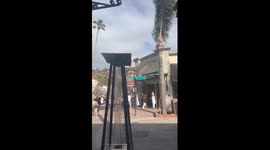 Diving Out of the Way From a Bird Attack