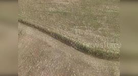 Spain: Drone Locates Missing Alzheimer Couple Collapsed From Heat In Leganes