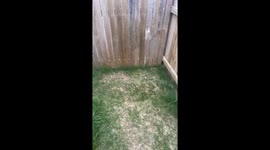 Zip-tie grass cutter: Aussie's brilliant DIY hack goes viral