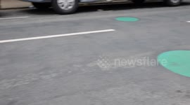 Mystery green spots on road leave residents baffled