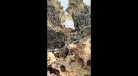 A day at the beach turns heroic as couple rescues trapped sea turtle