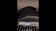 temp