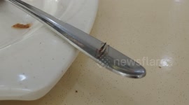 Uninvited GUEST coming right after just finished meals