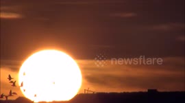 Sunset. Close-up of the setting sun