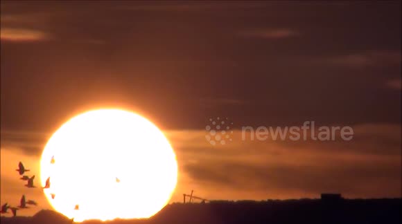 Sunset. Close-up of the setting sun