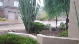 'Monsoon' floodwater gushes down street in Phoenix, Arizona
