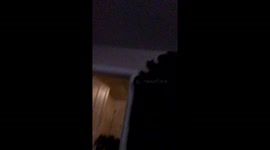 My cat helping me clean house