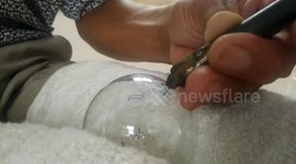 Artist carves intricate Chinese zodiac images onto light bulbs