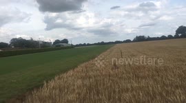 Mustang plane taking off