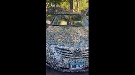 Woman Selling Each Car for $50,0000